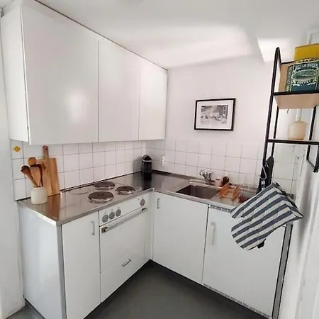 Studio Im Dorfkern Von Umgeben Von Einem Garten Flims