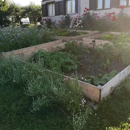 Studio Im Dorfkern Von Umgeben Von Einem Garten *
